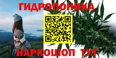 a pvp Волгодонск