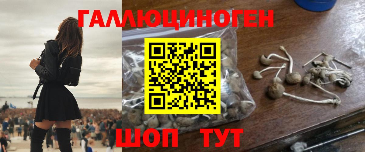 Псилоцибиновые грибы Magic Shrooms  Галлюциногенные грибы ЛСД  Вход с VPN  Назарово 
